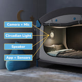 Cubby Bed Technology Hub